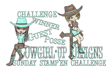 yay - I won the cowgirl challenge - yay