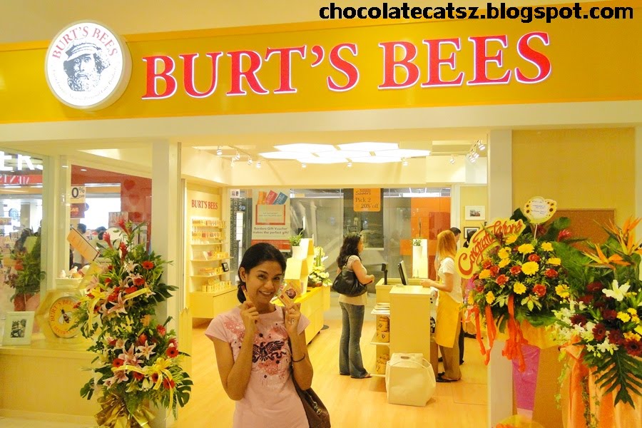 Aangepaste Continentaal stikstof Chocolate Cats: Burt's Bees' Sunday