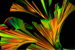 Photomicrograph | Renfan Shao, Liquid Crystal Materials Research Center, University of Colorado