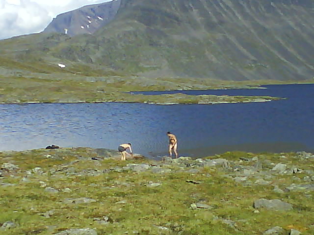 [image-upload-71-714768.jpg]