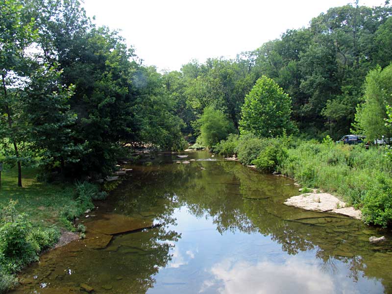 Louisville Fossils and Beyond Fossils of Belknap Bridge
