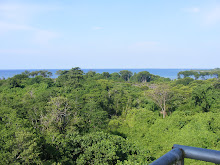 Pemandangan pulau burung