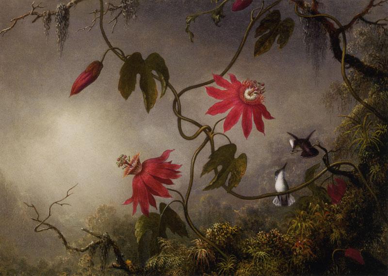 [Martin+Johnson+Heade+Passion+Flowers+and+Hummingbirds.jpg]