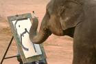 Elephant Painting