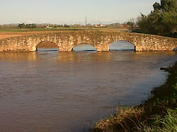Puente de la Reina, río Azuer.