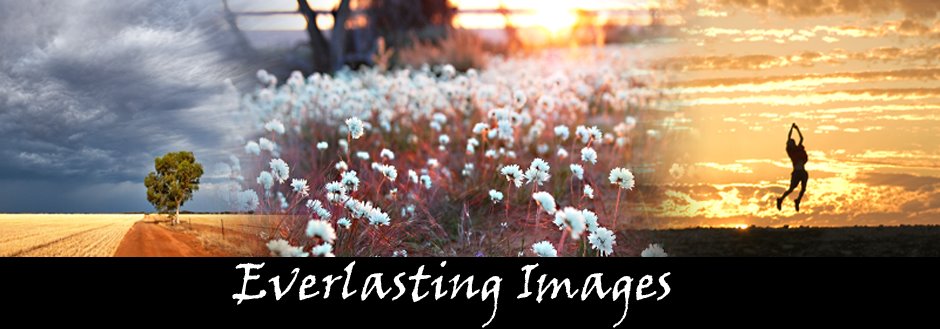 Everlasting Images