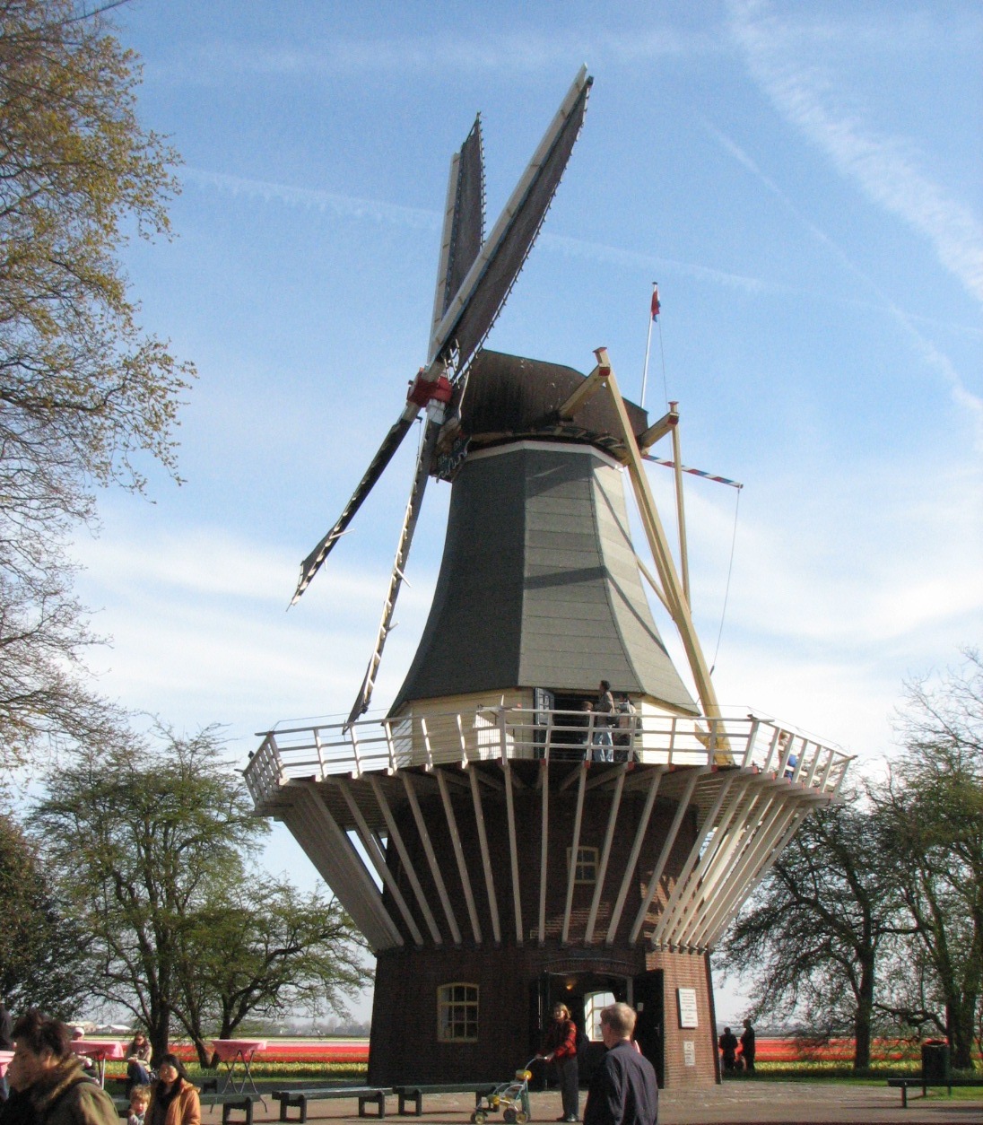 [IMG_0772.JPG]