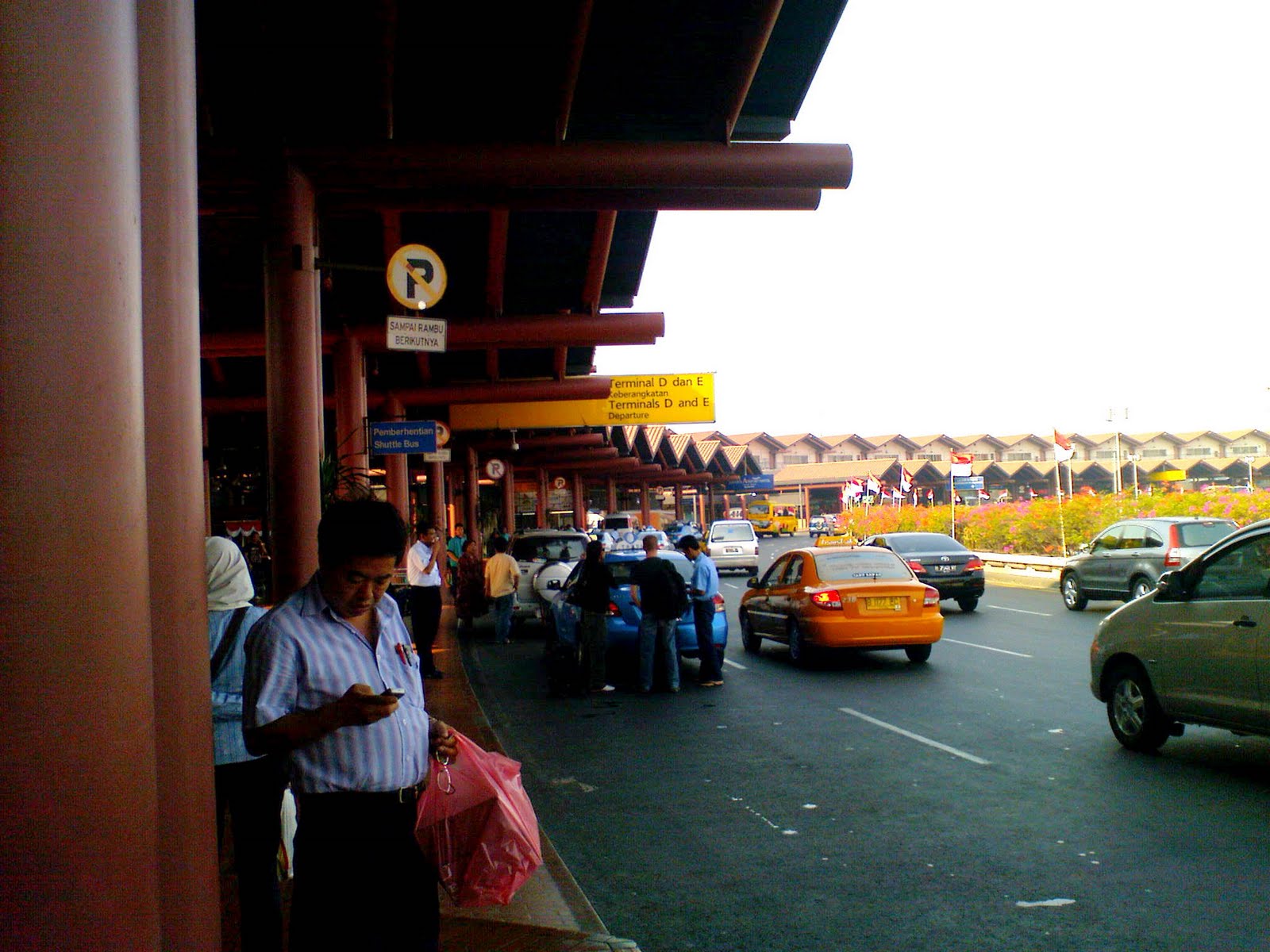 [DSC00251.JPG]