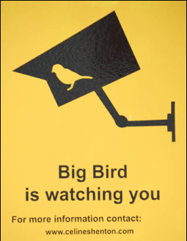 [bird-is-watching-you.png]