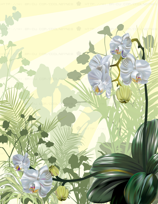 creativity Desain Grafis