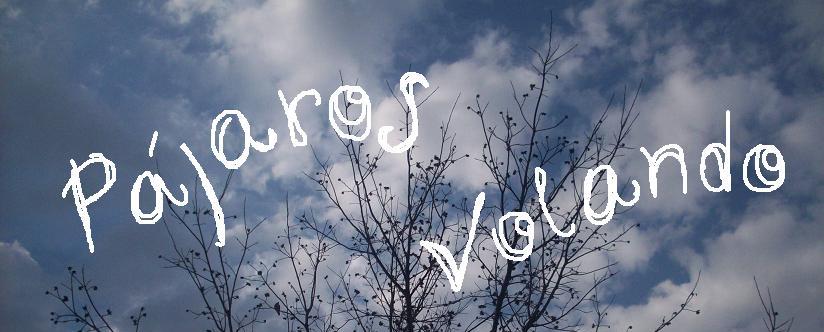 pájaros volando !