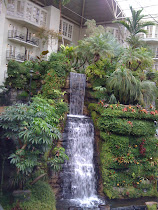 Pain Management Conference in Nashville, Tennesse at the Gaylord Opryland Resort