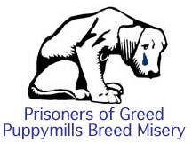 View more stories about Puppy Mills