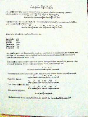 MissGayol's Virtual Classroom: Poetry Explication..