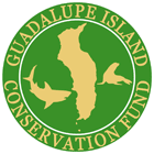 Isla Guadalupe Conservation Fund