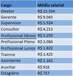 Sistema de Informação: Estudo mostra quanto ganham os profissionais de ...