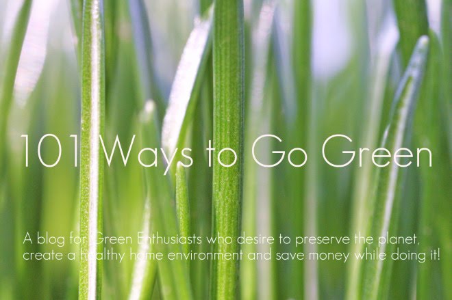 101 Ways to Go Green