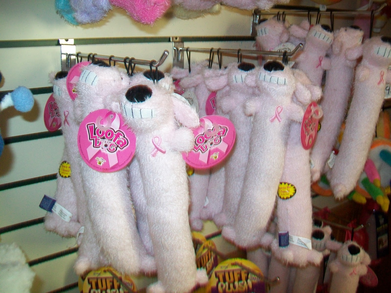 Best Friends' Rocky Hill Blog