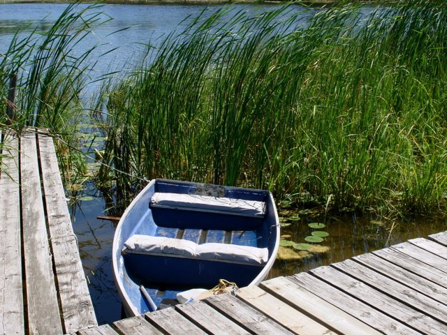 [rowboat+in+reeds.jpg]