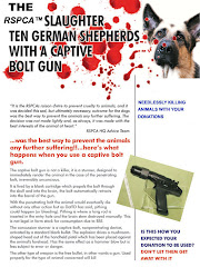 RSPCA SLAUGHTER 10 GERMAN SHEPHERDS WITH A CAPTIVE BOLT GUN