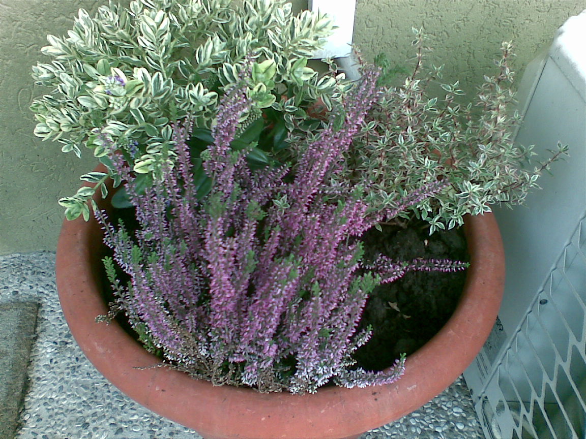[21092009.jpg]