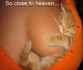 Cat Feels.....Like Heaven