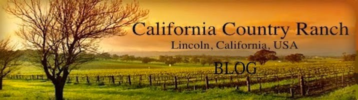 California Country Ranch