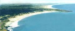 Vista panorámica de Punta Colorada