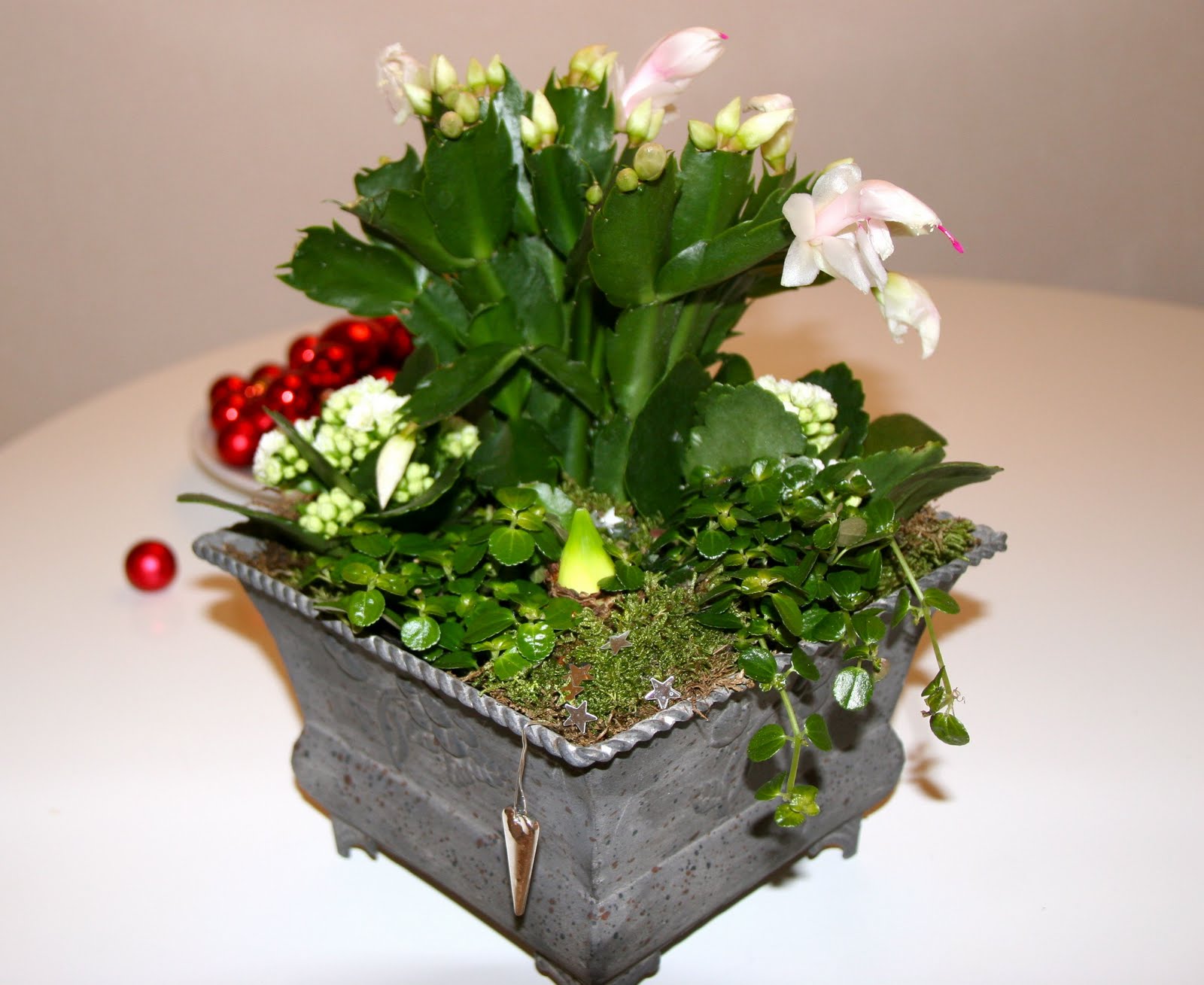 Nya äventyr Julblommor