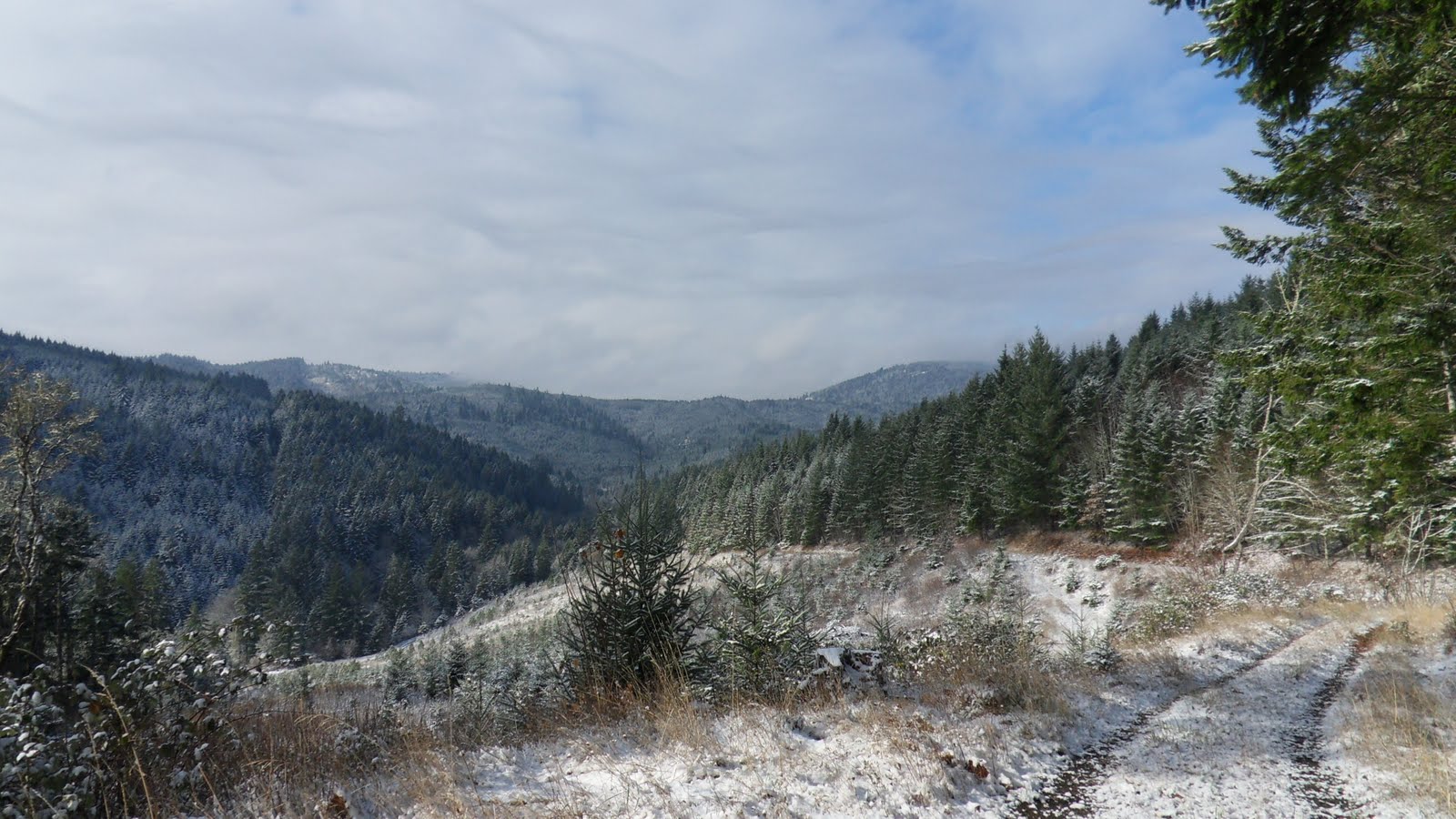 Hell of the Northwest Mac Forest, Soap Creek, and Starker Forest