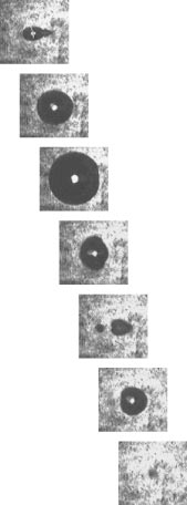 montage of bubbles in water produced by femtosecond laser induced optical breakdown.