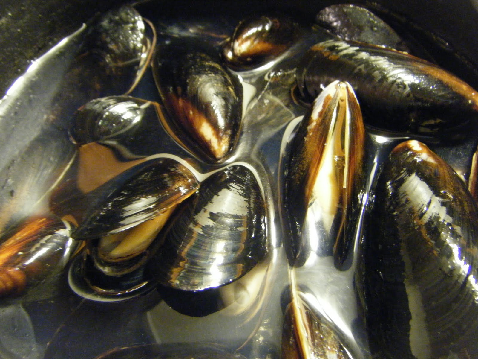 A Captain's Daughter Pantry MUSSELS with GINGER & Green Onions