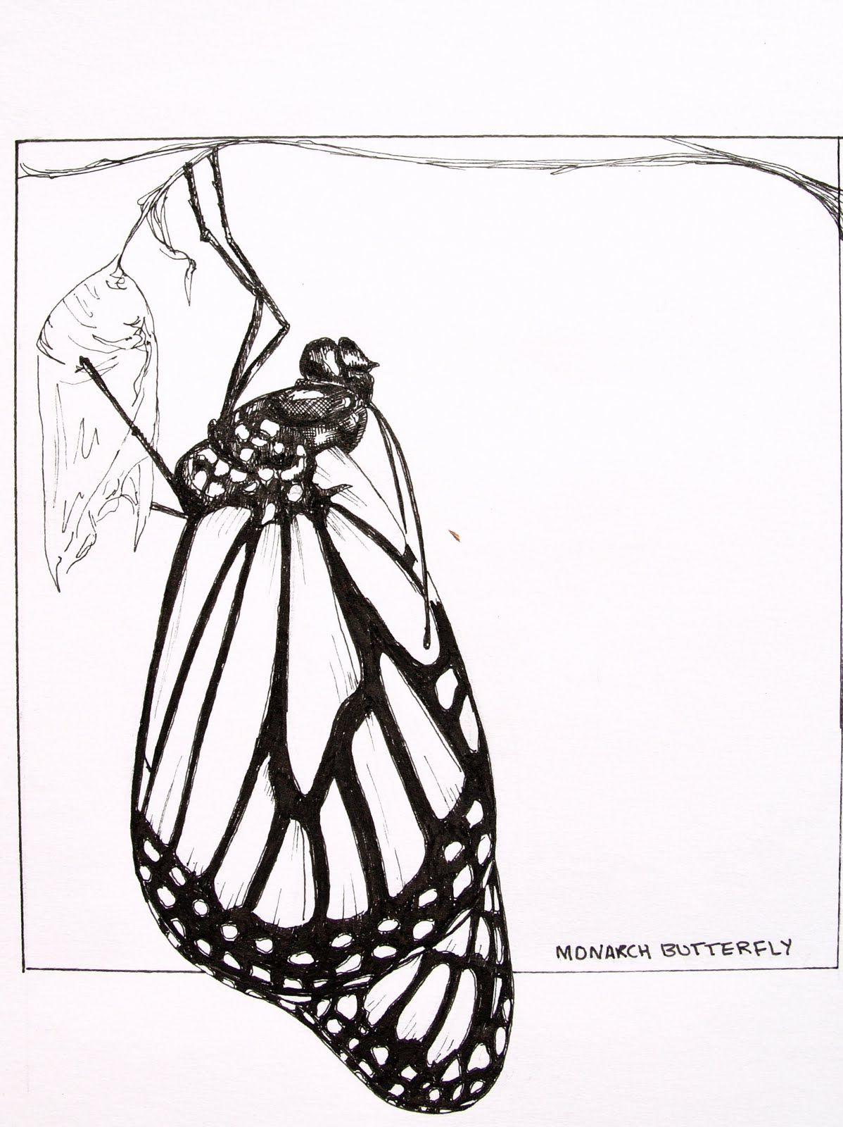 ART OF A NOMAD 100th Post!!!! IF Cocoon