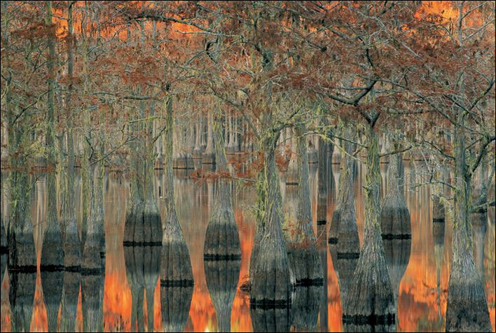 [001e01c87031$9cd67d30$c36346186.jpg]