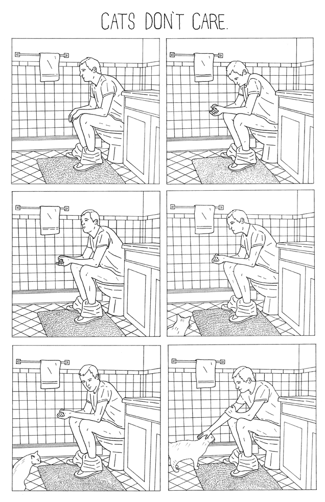 [catsdontcare.gif]