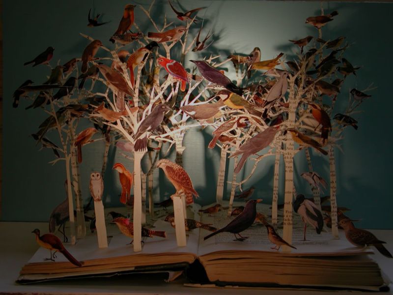 [book_art_012.jpg]