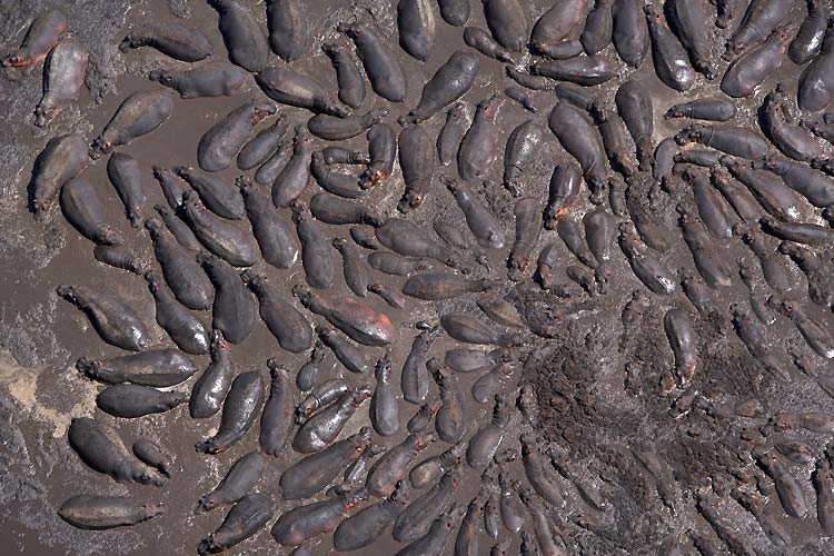 [3081_africa_012.jpg]