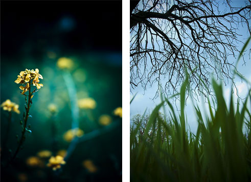 [img_imagination.jpg]