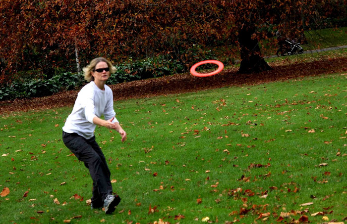 Frisbee at Fitzroy 6