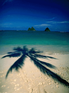 [nature+03.gif]