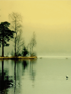 [nature+04.gif]