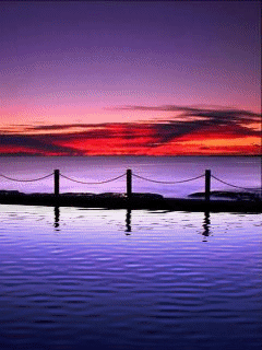[nature+05.gif]
