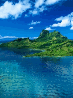 [nature+09.gif]