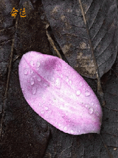 [nature+26.gif]