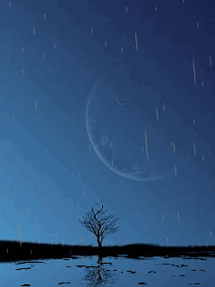 [nature+33.gif]