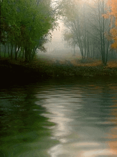 [nature+41.gif]