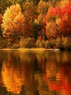 [nature+11.gif]