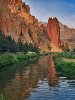 [nature+40.gif]