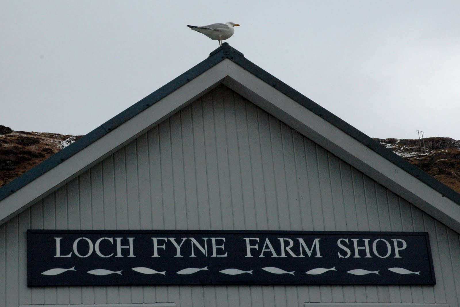 American Writer in London The Finest on Loch Fyne