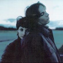 Los Amantes del Círculo Polar